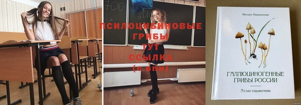 а пвп мука Алзамай