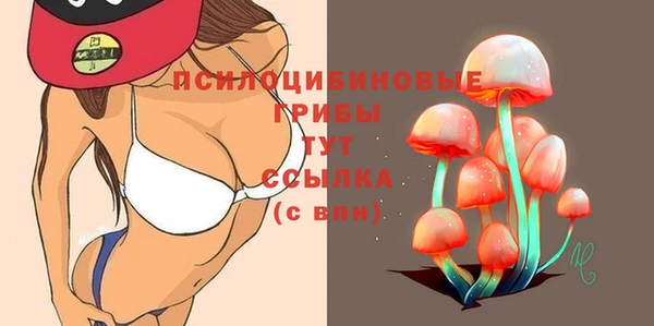 не бодяженный Абаза
