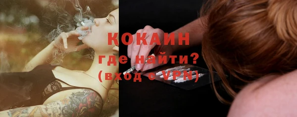 гашик Костерёво