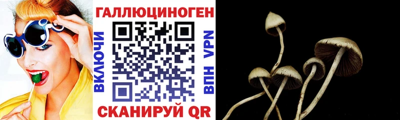 Псилоцибиновые грибы мухоморы  Пудож 